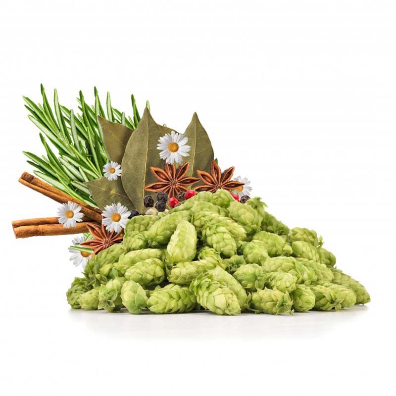 Produkt - Sládek - Čerstvý hlávkový chmel